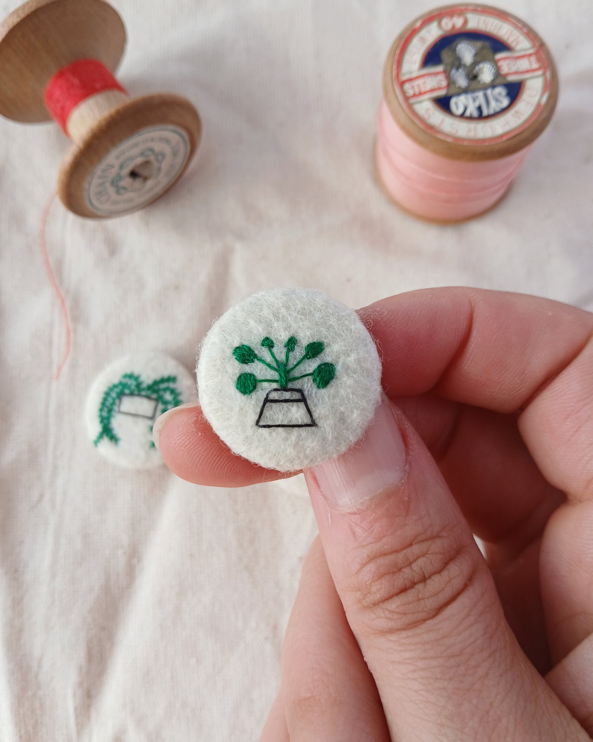 houseplant set