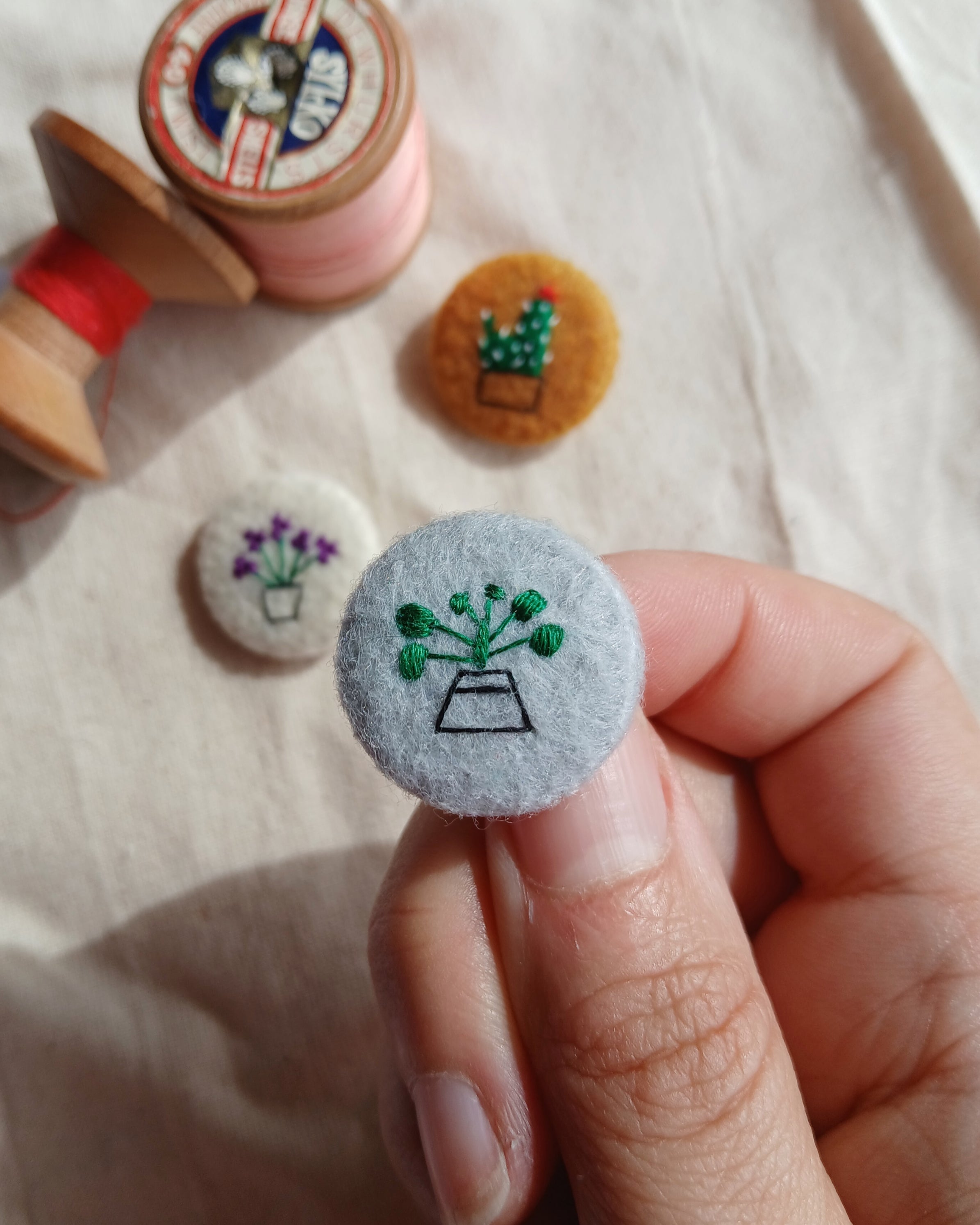 houseplant set