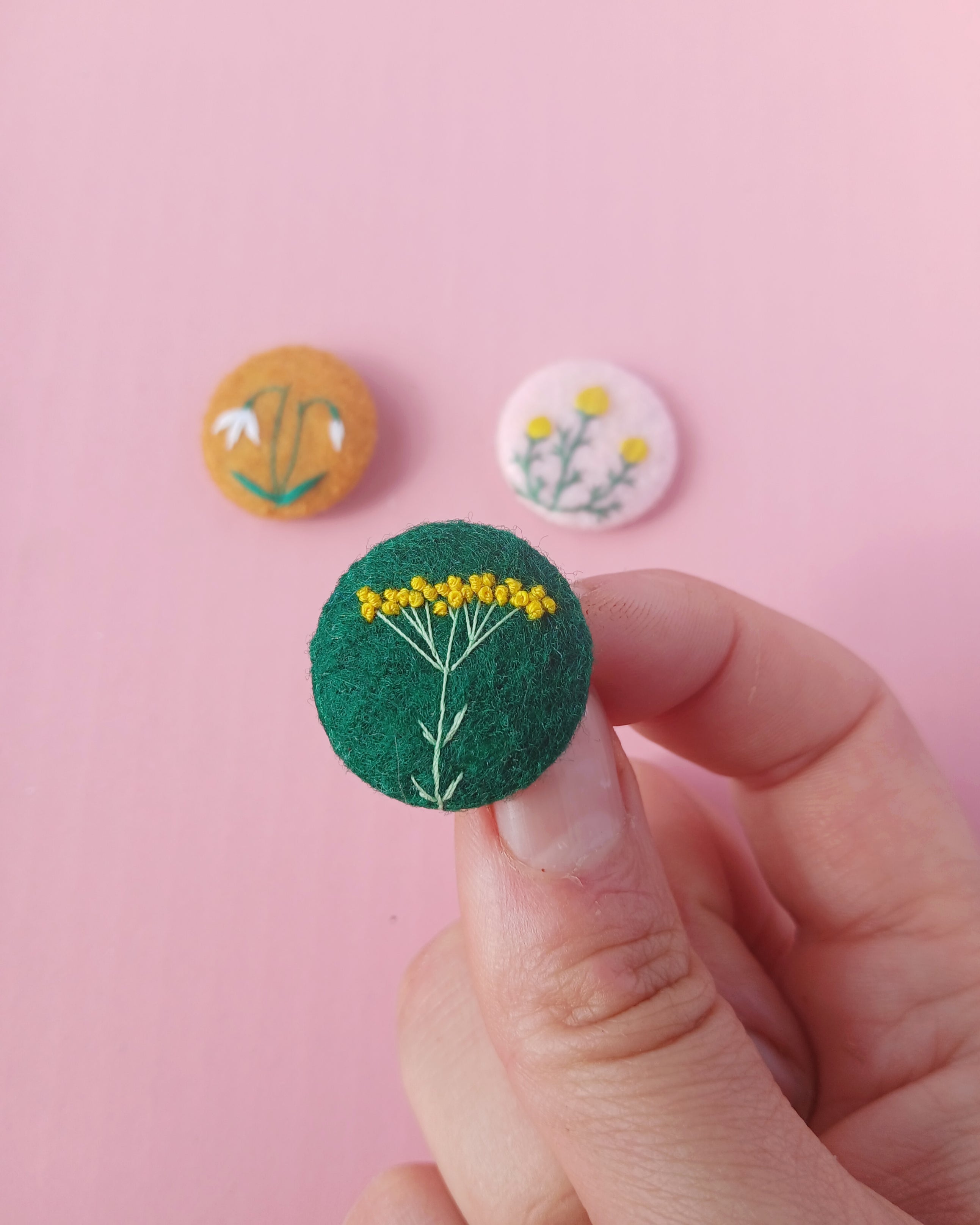 Snowdrop, curry plant and pineapple weed set - amypanda