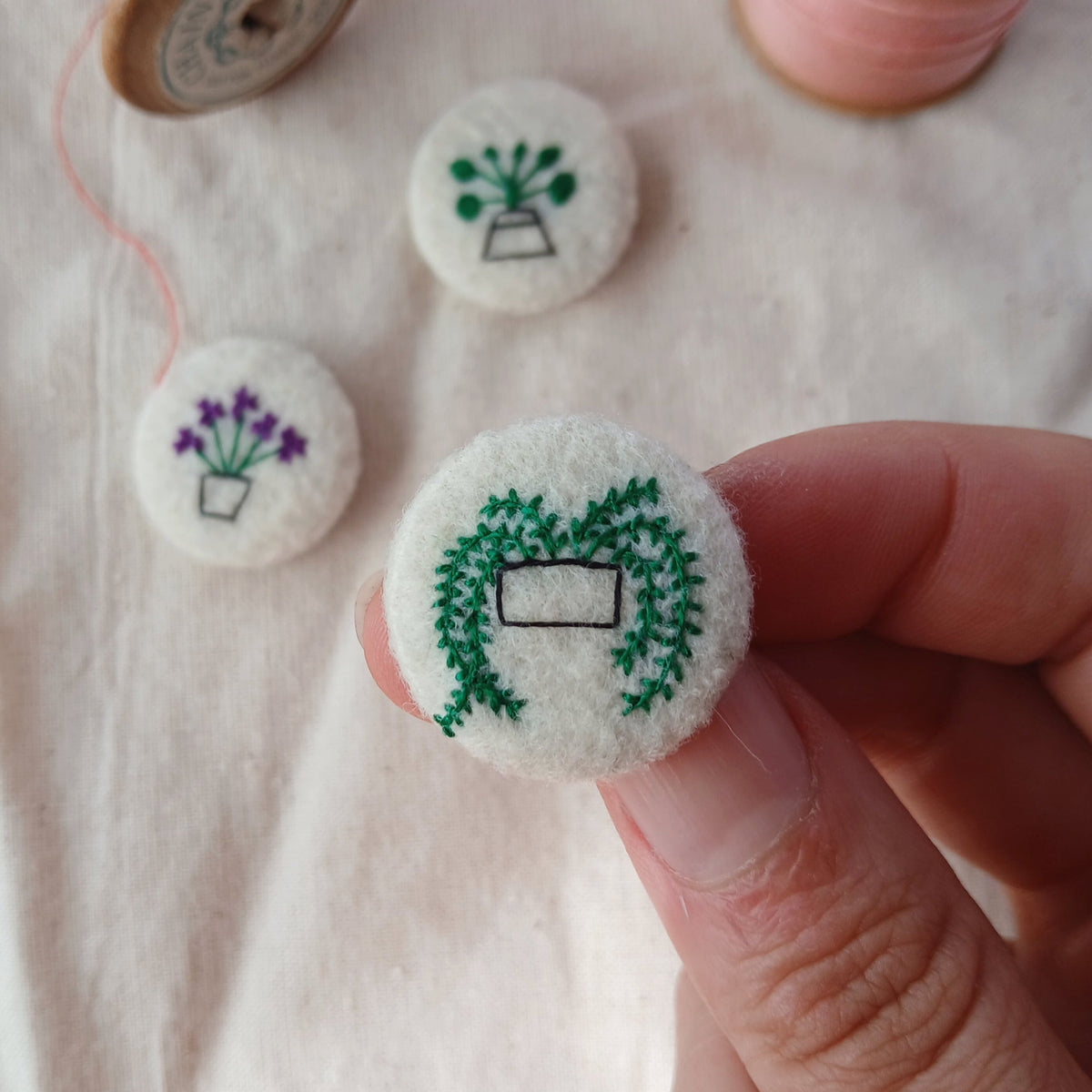 houseplant set