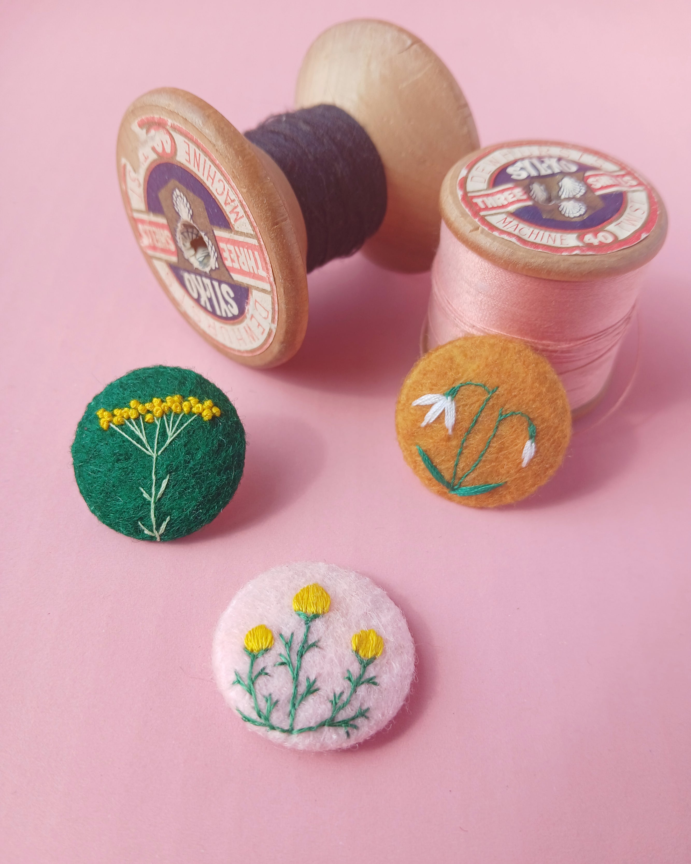 Snowdrop, curry plant and pineapple weed set - amypanda