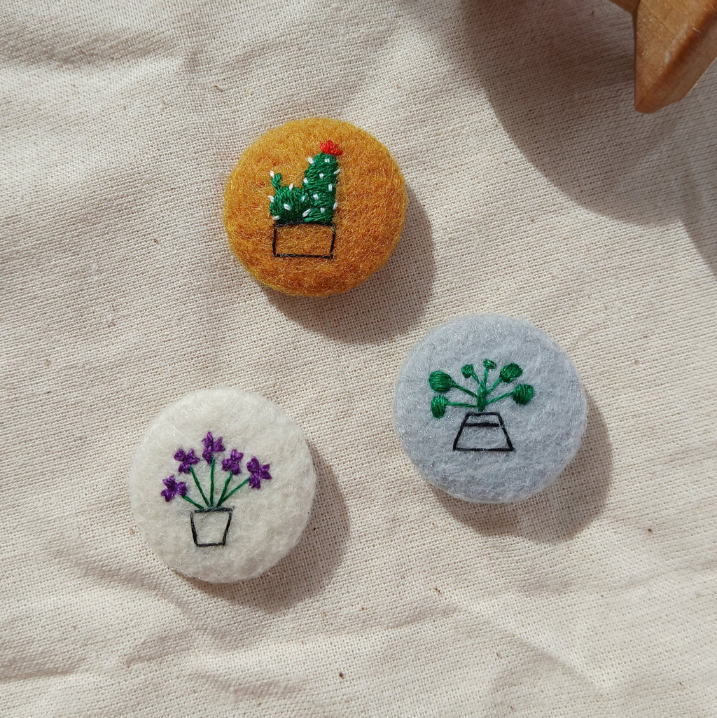 houseplant set
