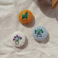 houseplant set