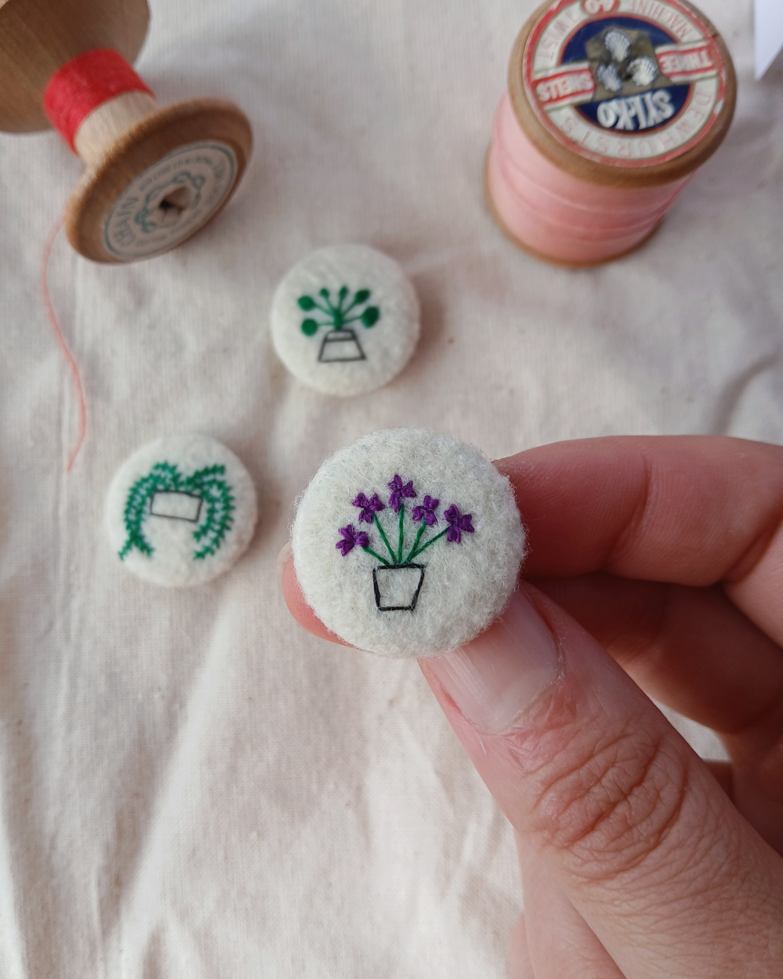 houseplant set