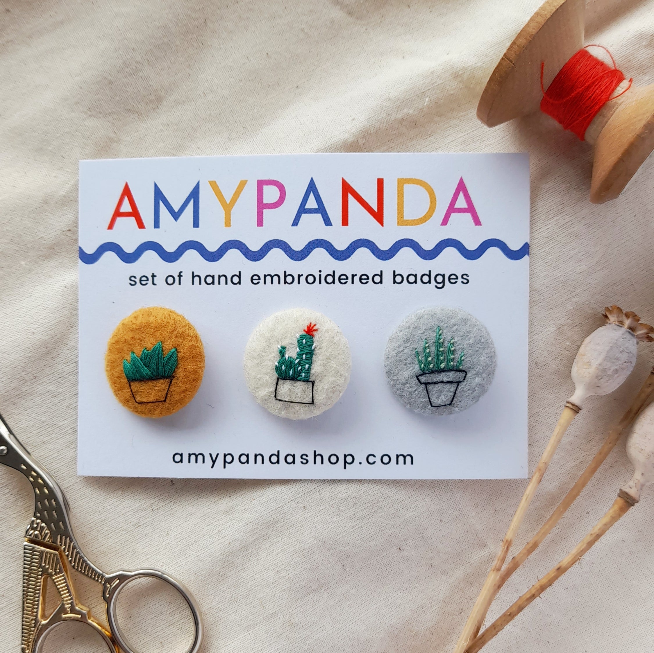 Succulent set - amypanda